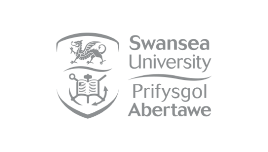 Swansea University