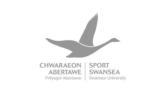 Sport Swansea