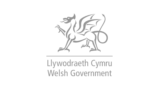 Welch Government